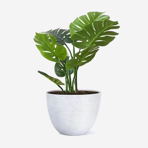 Vase For Succulent Plants